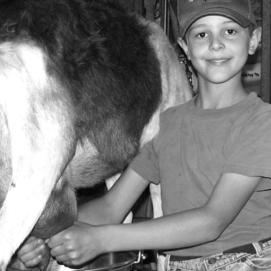 Nathan milking